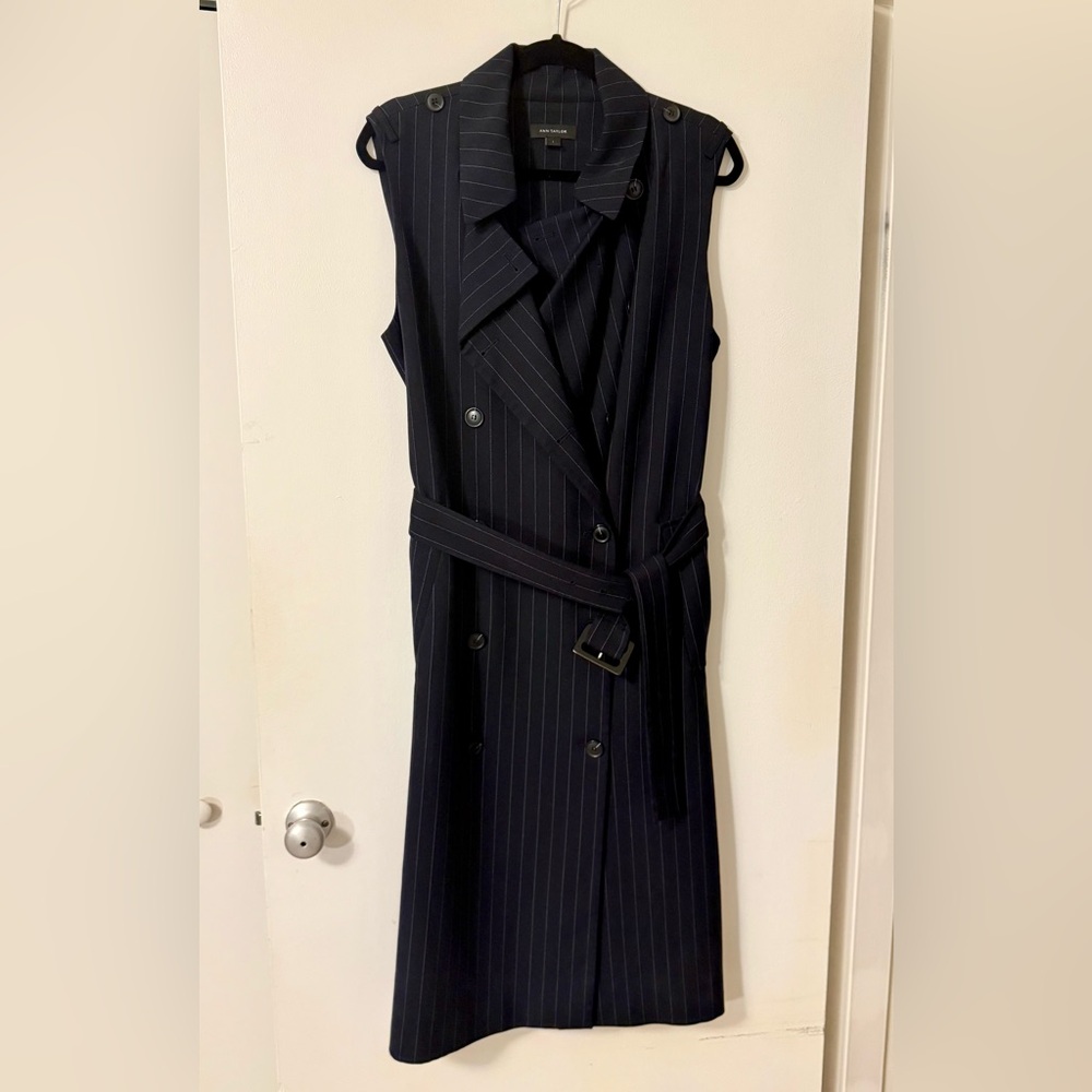 Ann Taylor Navy Pinstripe Sleeveless Dress